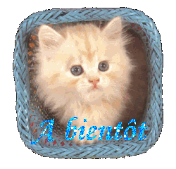 chat